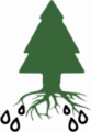Deep Root Fertilization Deep Root Fertilization